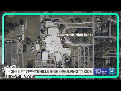 Zephyrhills High School admin investigate fight involving 14 students, staff