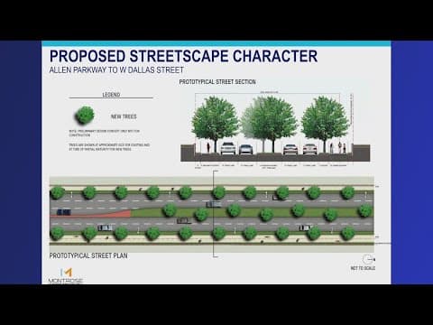 Residents concerned over plan to cut down mature oak trees during Montrose Boulevard renovation