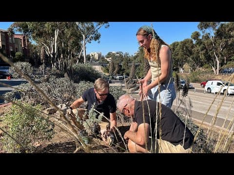 'Guerrilla Garden' unites Hillcrest neighborhood