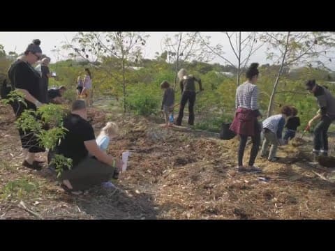 Honoring The Jewish New Year of the Trees with Coastal Roots Farm