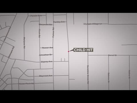 11-year-old dies after being hit by car walking from bus stop in Hernando County