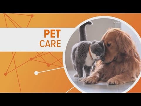 People are putting pets in their will