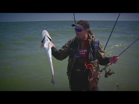 Fishing reef honors pilot and conservationist Theophile Bourgeois