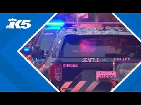 Mother suspected of killing son in Seattle apartment