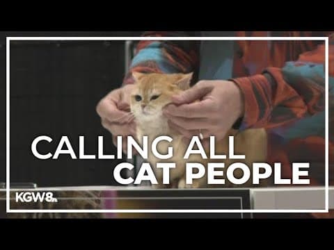 'Catstravaganza' brings cat lovers from around the globe to Portland Expo Center