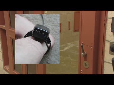 Uber driver arrested for child sex assault is missing after cutting off ankle monitor, police say