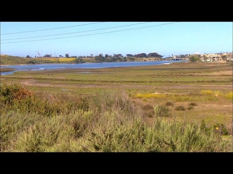 Carlsbad's Agua Hedionda Lagoon | It's more than a lagoon, it's an ecosystem