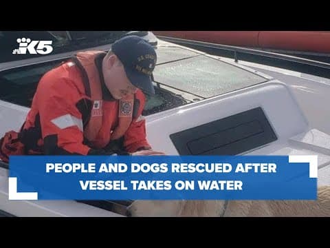 Ferry crew, Coast Guard rescue people and dogs as vessel took on water in Rosario Strait