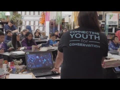 SDTA Tourism Accelerator Winner: Ocean Connectors