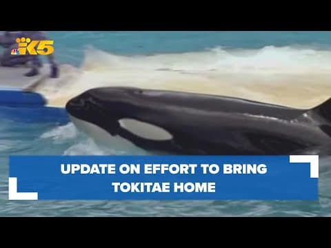 Organization working to bring Tokitae home shares progress