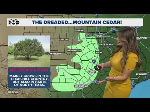 Pollen levels are high right now, triggering allergies