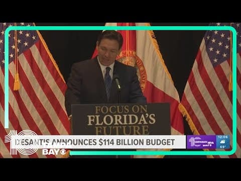 DeSantis proposes tax breaks, education grants in next year's state budget
