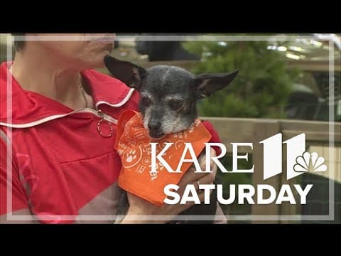 Pet adoption at the Twin Cities Auto Show
