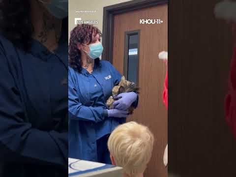 Woman reunited with cat presumed lost in Palisades Fire. Via: AP