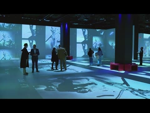 New 'Lume' exhibit opens at Indy's Newfields