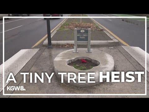 Tree gone from Portland's famous tiny park