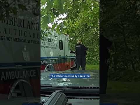 After a rare black bear attack, a 69-year-old Wisconsin woman is still recovering. #news