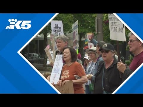 ICE arrest in courthouse prompts protest