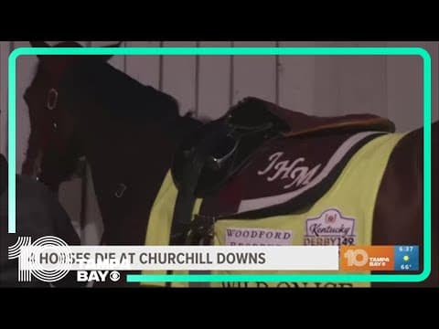 4 horses die at Churchill Downs ahead of Kentucky Derby