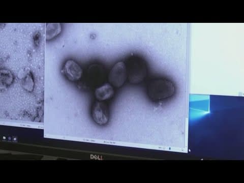 Mpox declared a global health emergency by WHO as new form of virus spreads in Africa