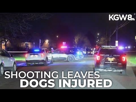 2 dogs injured in Southeast Portland shooting