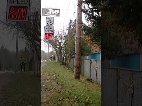 Human skull found on the side of the road in Tracyton, WA