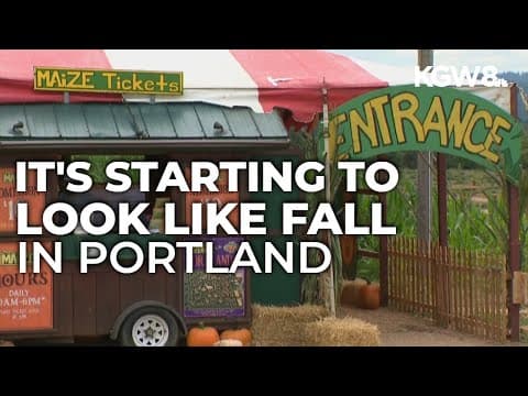 The Maize at the Pumpkin Patch opens at Sauvie Island