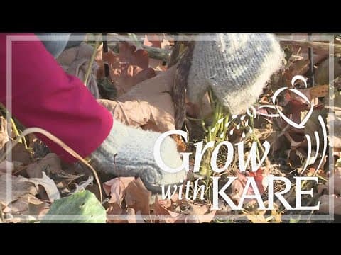 Grow with KARE: How to winterize your vegetable garden