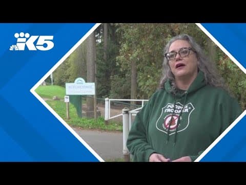 How dog owners can play a role in protecting Washington waterways