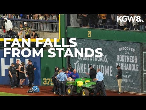 Man falls from stands at Pittsburgh Pirates baseball game
