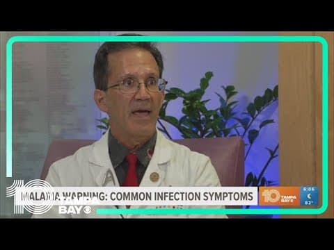Malaria in Sarasota: Doctor explains how infections begin after mosquito bite