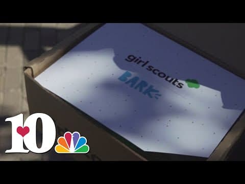 Girls Scouts helping animals in need after Helene with a 'BarkBox'