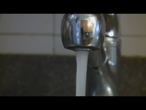 Washington aqueduct granted permission to use chemical to fight algae bloom