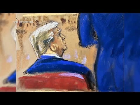 How soon could the Supreme Court make a decision in Trump's immunity trial?