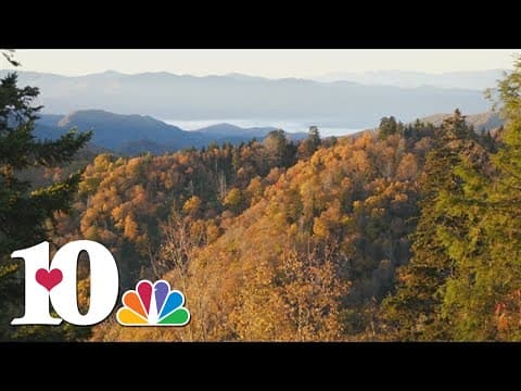 GSMNP says visitors spent more than $2 billion in communities near the park