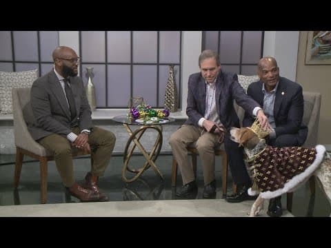 Krewe of Barkus to roll this Sunday in New Orleans