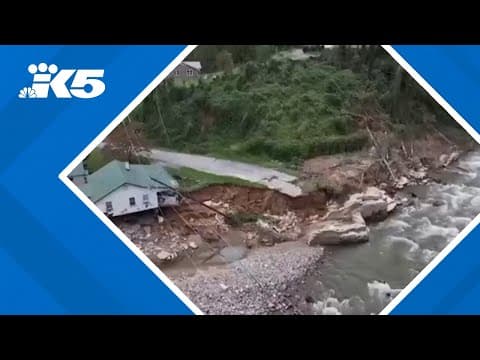 Vice President Harris, former president Trump address Hurricane Helene aftermath