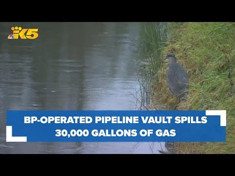 BP-operated pipeline vault spills 30,000 gallons of gas into the environment