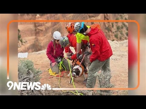 Dog rescued after falling into canyon at Colorado National Monument