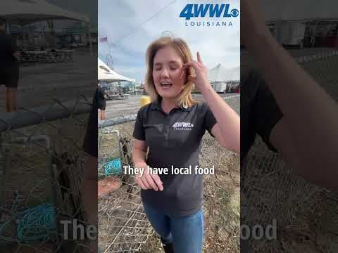 The 4th annual Island Strong Music Fest is ON this weekend