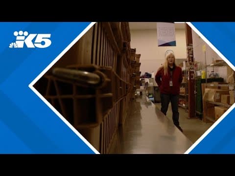 Nonprofits struggle with confusion over Trump's federal funding freeze