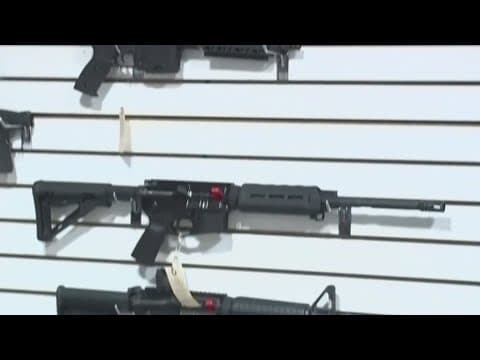 'Second Amendment Summer': DeSantis proposes gun tax holiday as part of budget proposal