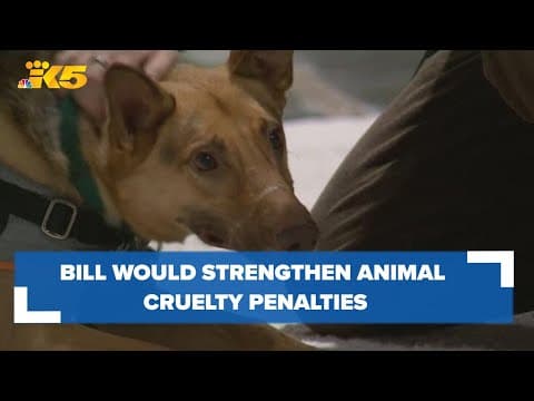 Washington lawmakers propose bill that would strengthen animal cruelty penalties
