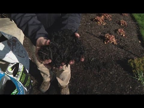 Pat Sullivan's tips for mulching around your yard