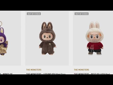 Labubu mania hits Houston: Fans line up for viral dolls at Baybrook Mall