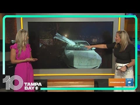 Heavy storms leave trail of damage in Clearwater