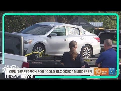 Hillsborough deputies searching for 'cold-blooded' murderer in Seffner