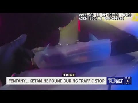 Deputies arrest 2 people in Hillsborough after finding drugs in their car, Hillsborough County sheri