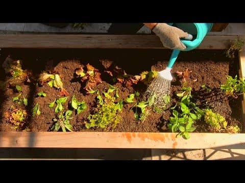 Fall season brings changes to your home garden