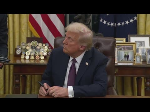 Judge blocks President Trump's executive order on birthright citizenship